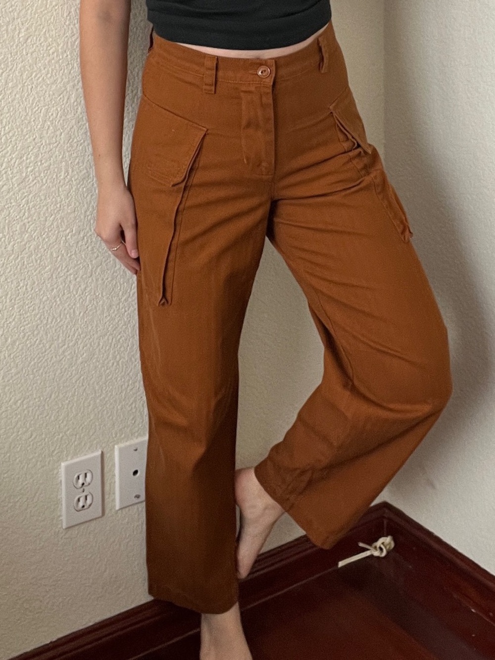 BDG  Utility Cargo Pant. Rich Rust color. Barrel pants.  Mid-weight 100% cotton.